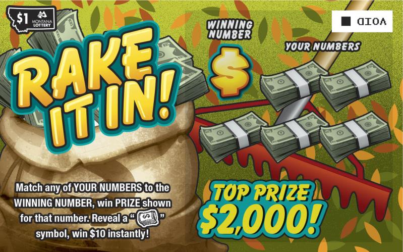 An image depicting the $1 Rake It In Scratch game.